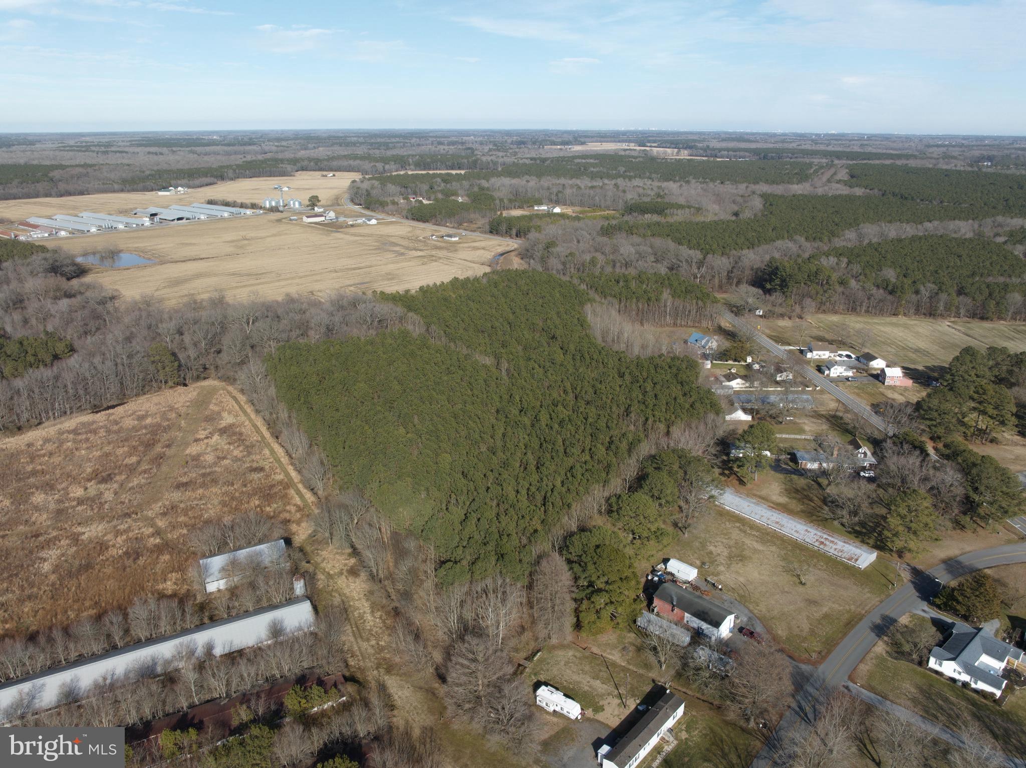 0 Libertytown Road Berlin, MD 21811 - Photo 12 of 40