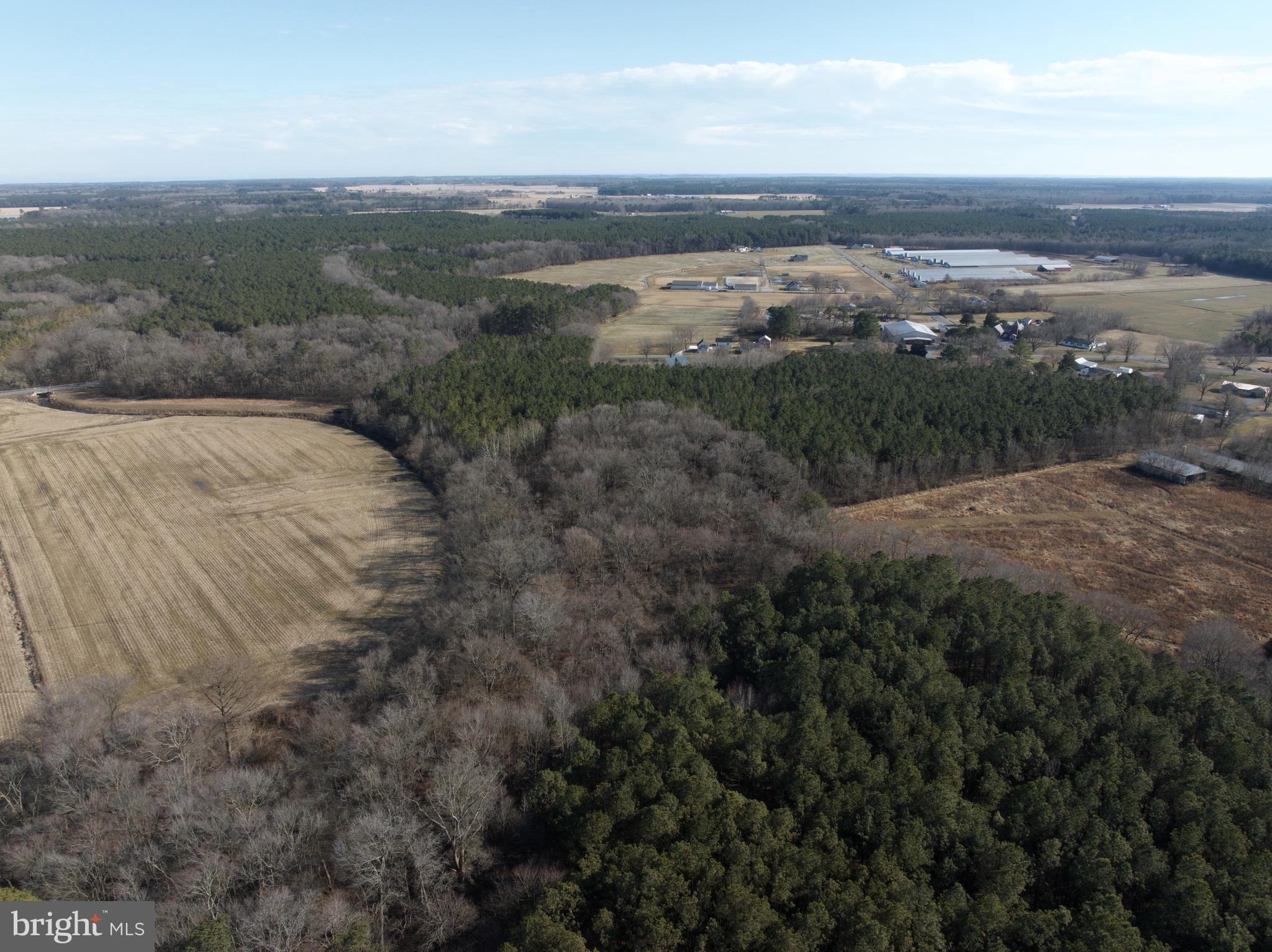 0 Libertytown Road Berlin, MD 21811 - Photo 13 of 40