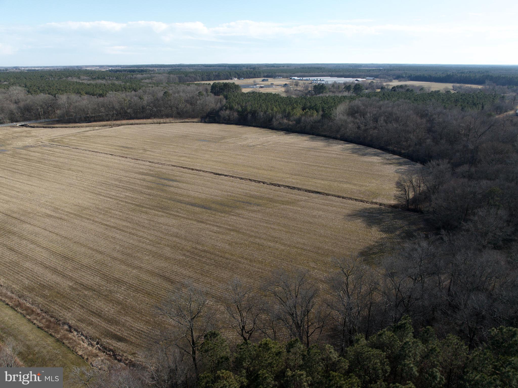 0 Libertytown Road Berlin, MD 21811 - Photo 15 of 40