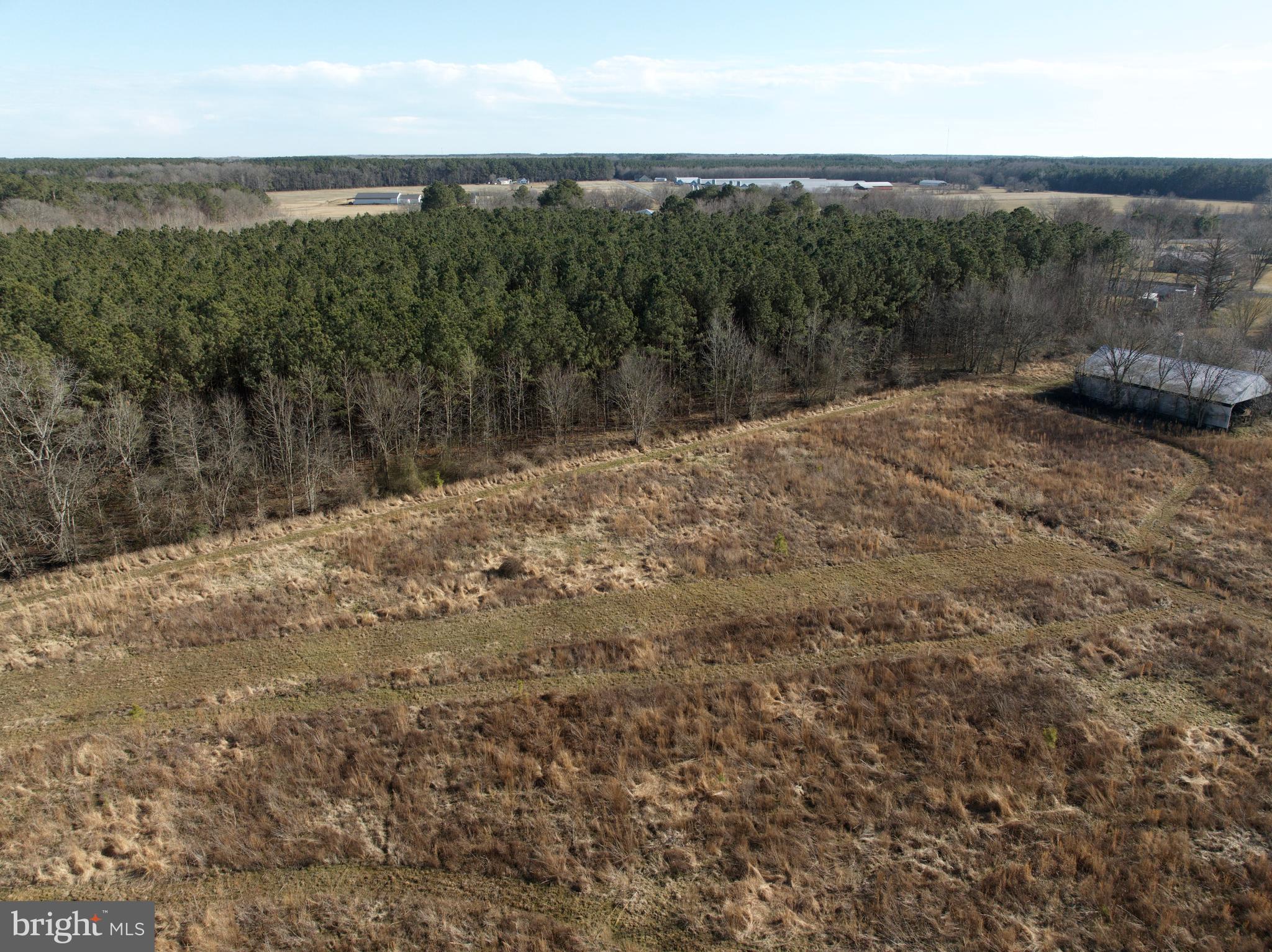 0 Libertytown Road Berlin, MD 21811 - Photo 19 of 40