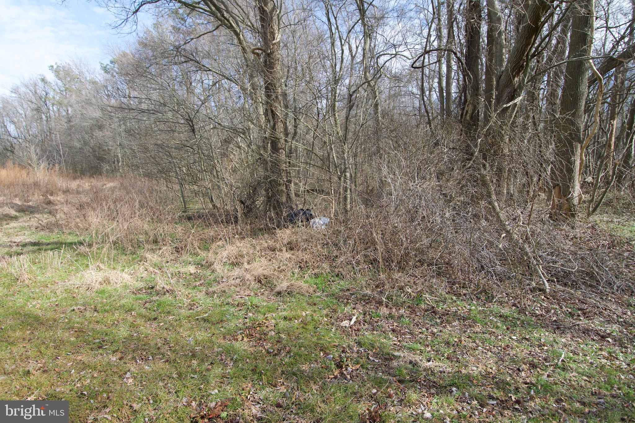 0 Libertytown Road Berlin, MD 21811 - Photo 26 of 40