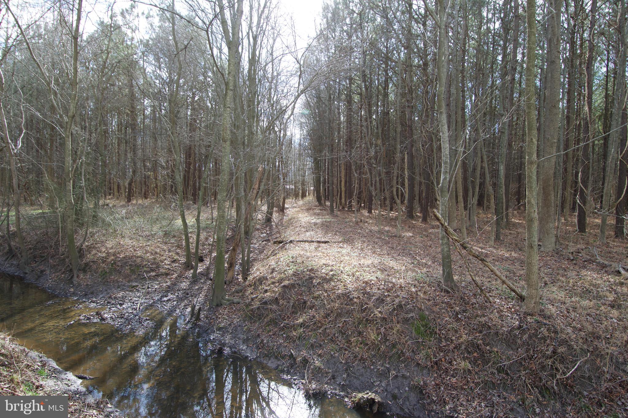 0 Libertytown Road Berlin, MD 21811 - Photo 27 of 40