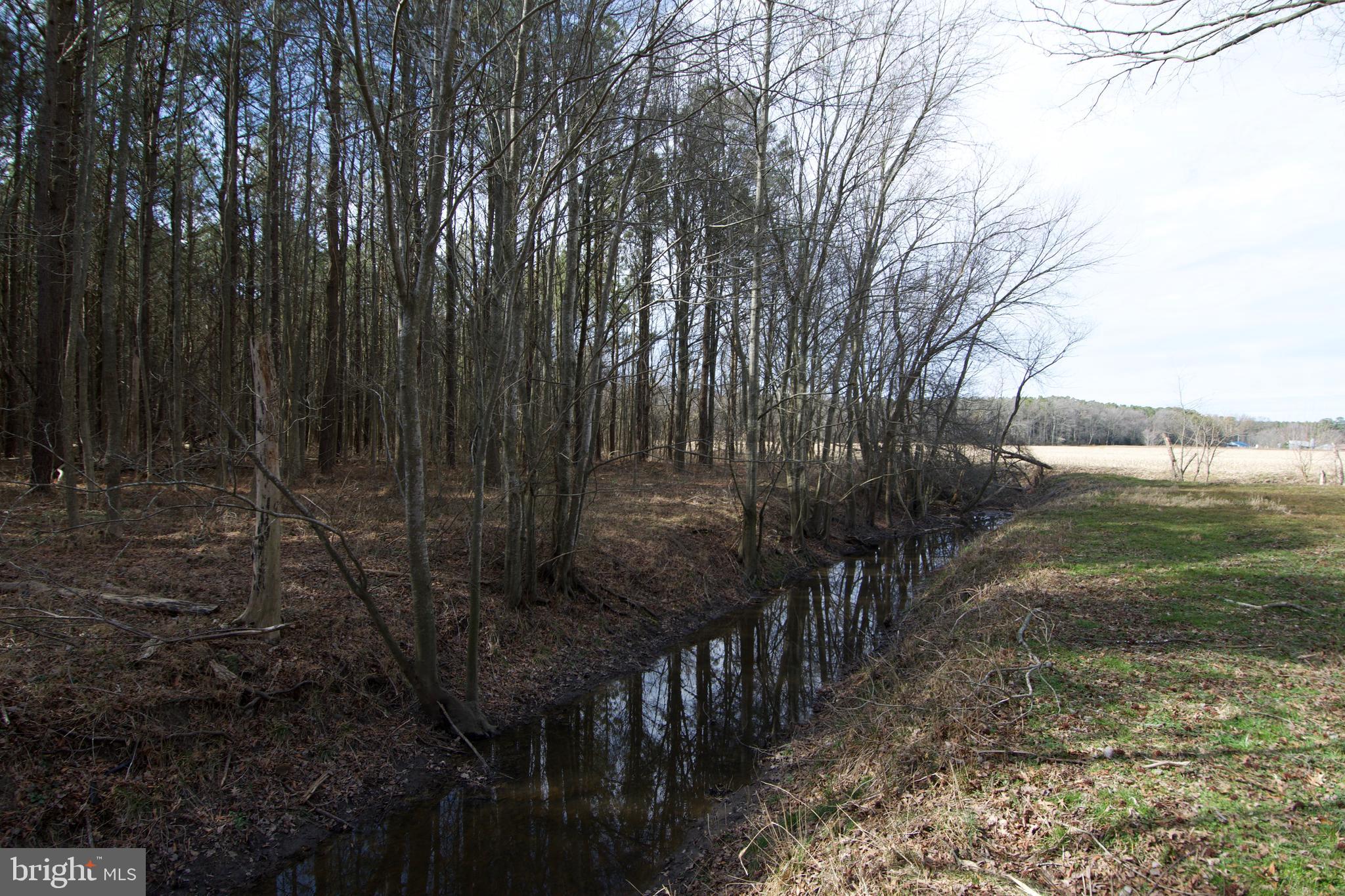 0 Libertytown Road Berlin, MD 21811 - Photo 28 of 40