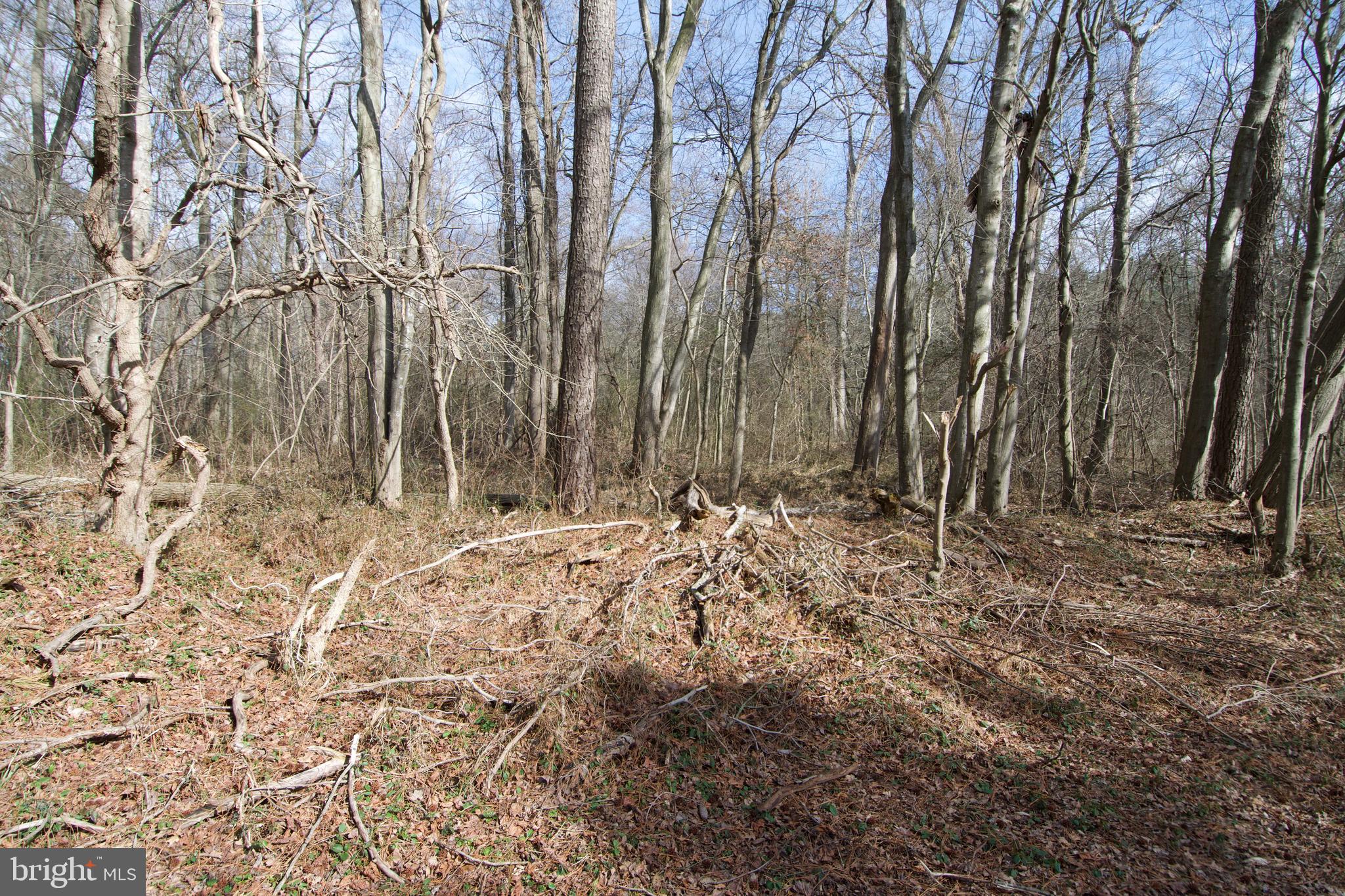 0 Libertytown Road Berlin, MD 21811 - Photo 29 of 40