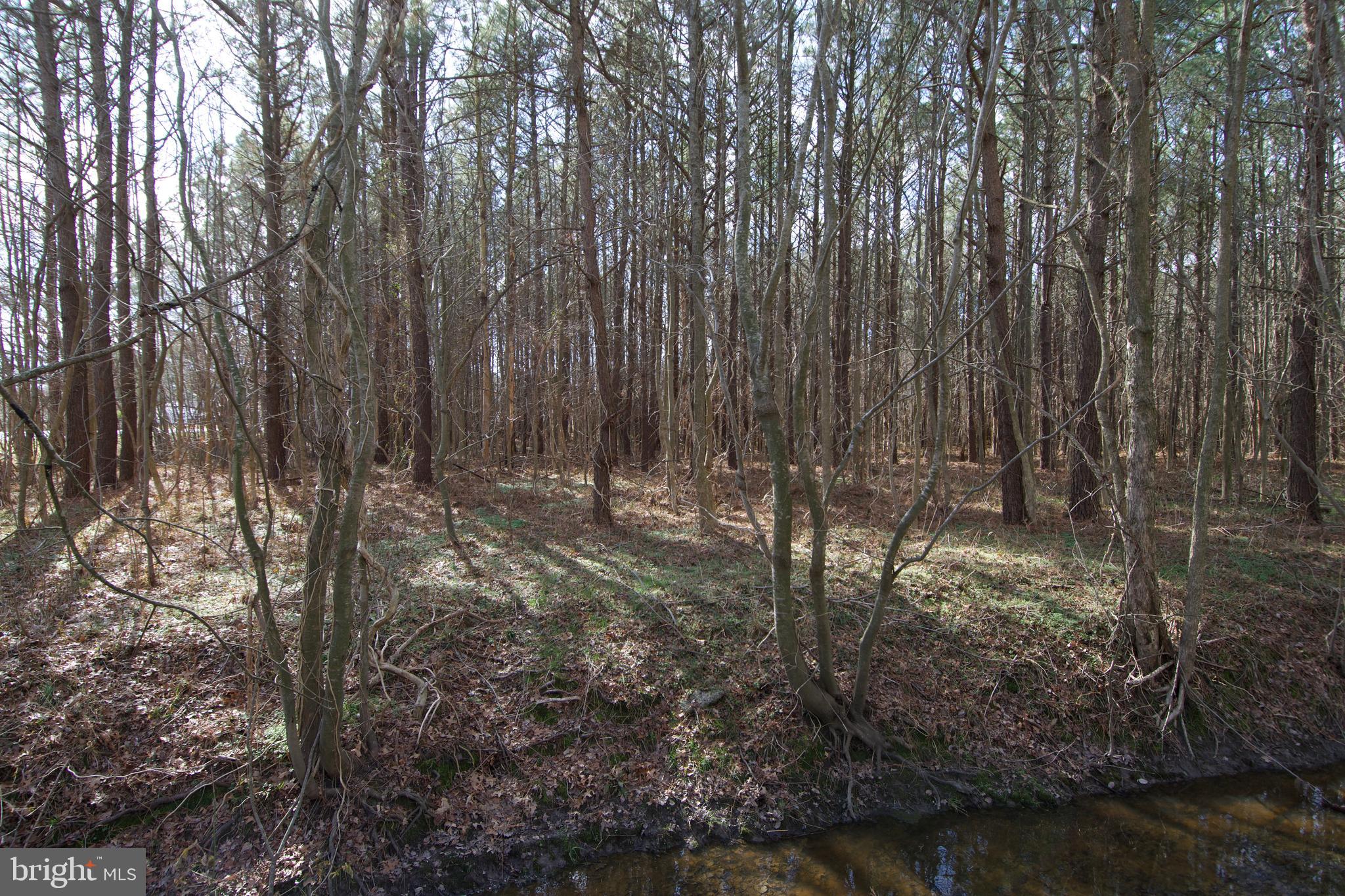 0 Libertytown Road Berlin, MD 21811 - Photo 30 of 40