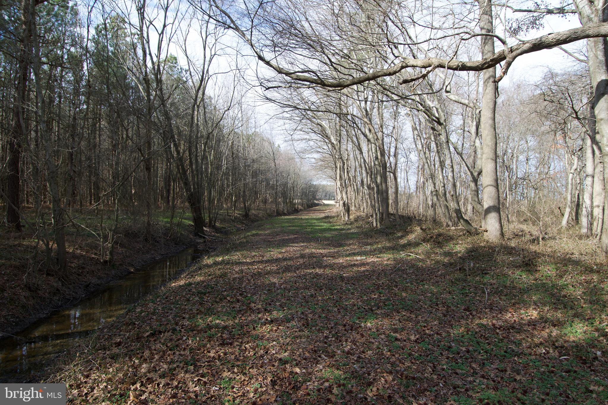 0 Libertytown Road Berlin, MD 21811 - Photo 31 of 40