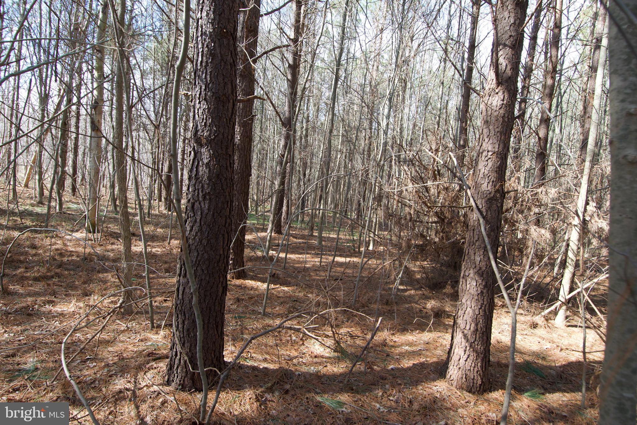 0 Libertytown Road Berlin, MD 21811 - Photo 35 of 40