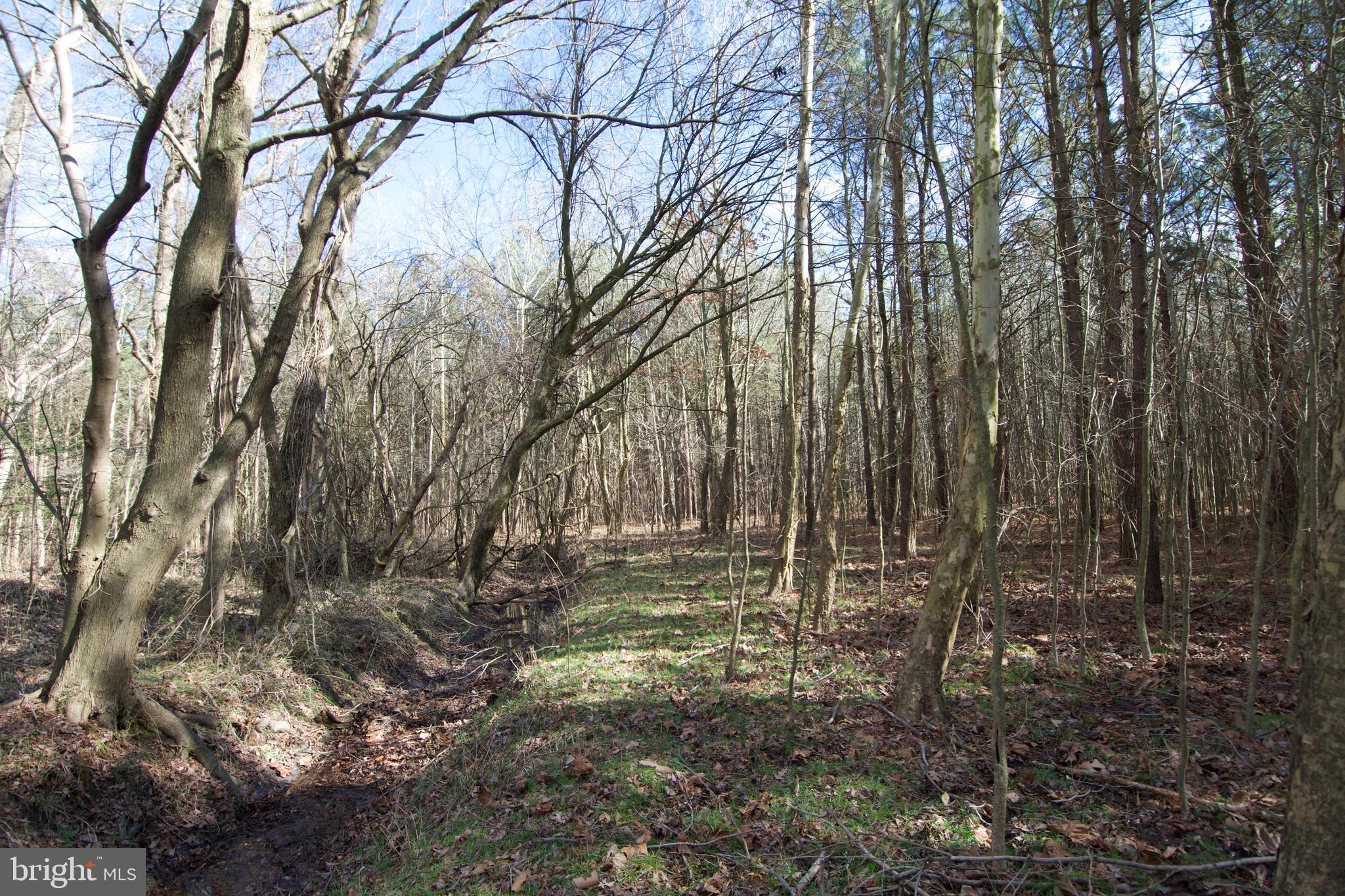 0 Libertytown Road Berlin, MD 21811 - Photo 36 of 40