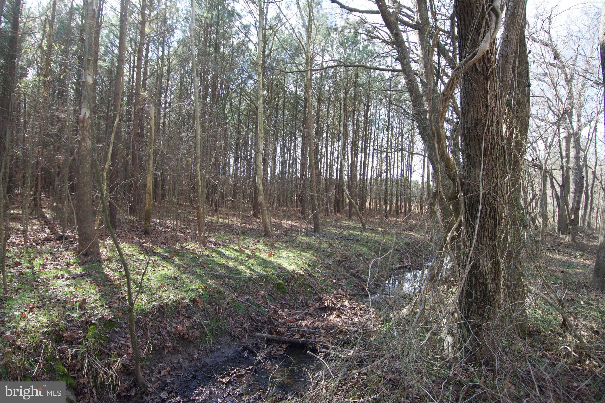0 Libertytown Road Berlin, MD 21811 - Photo 37 of 40