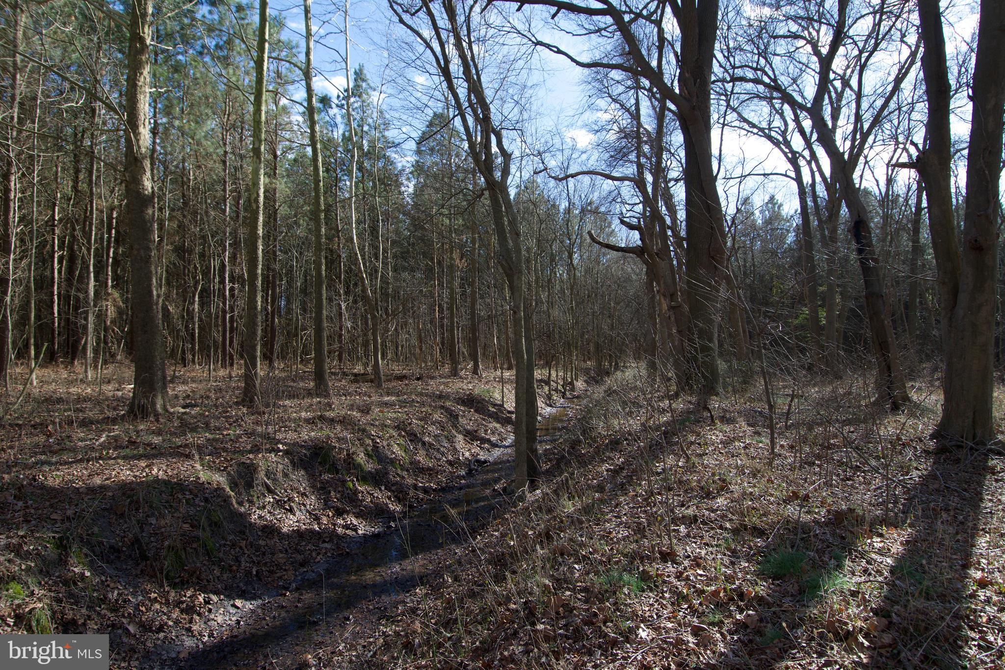 0 Libertytown Road Berlin, MD 21811 - Photo 38 of 40