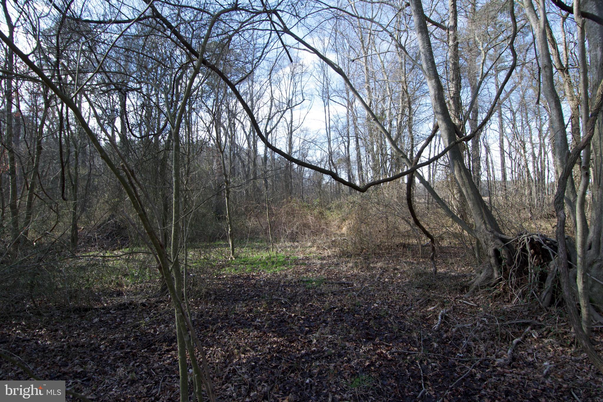 0 Libertytown Road Berlin, MD 21811 - Photo 40 of 40