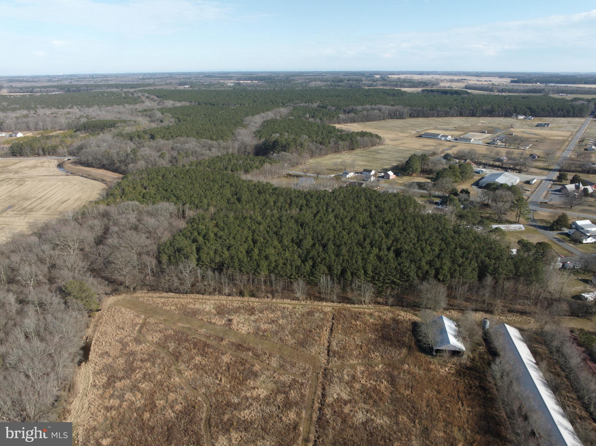 0 Libertytown Road Berlin, MD 21811 - Photo 6 of 40