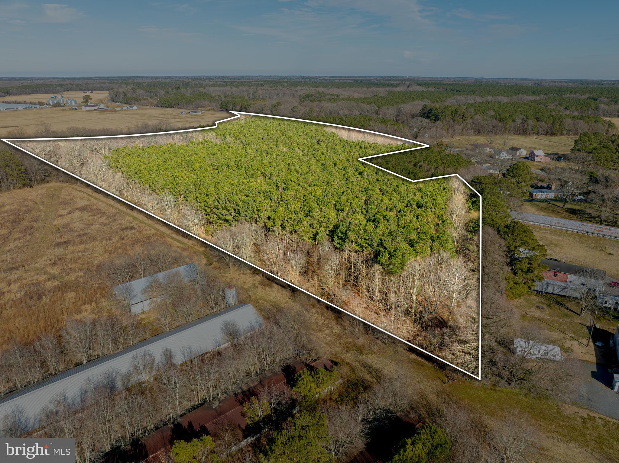 0 Libertytown Road Berlin, MD 21811 - Photo 8 of 40
