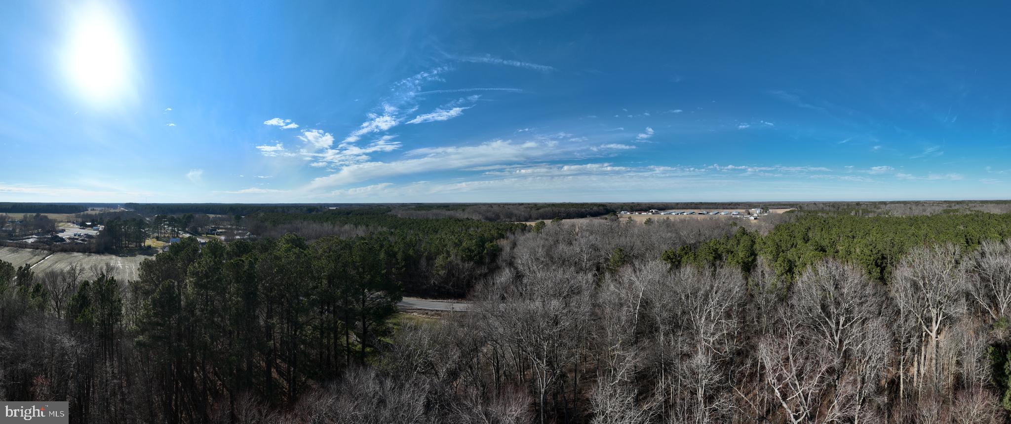 0 Libertytown Road Berlin, MD 21811 - Photo 9 of 40