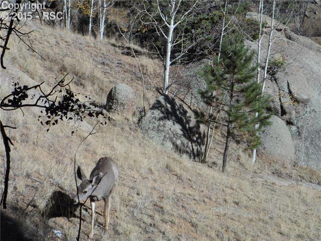 234 Berylium Road Florissant, CO 80816 - Photo 13 of 27
