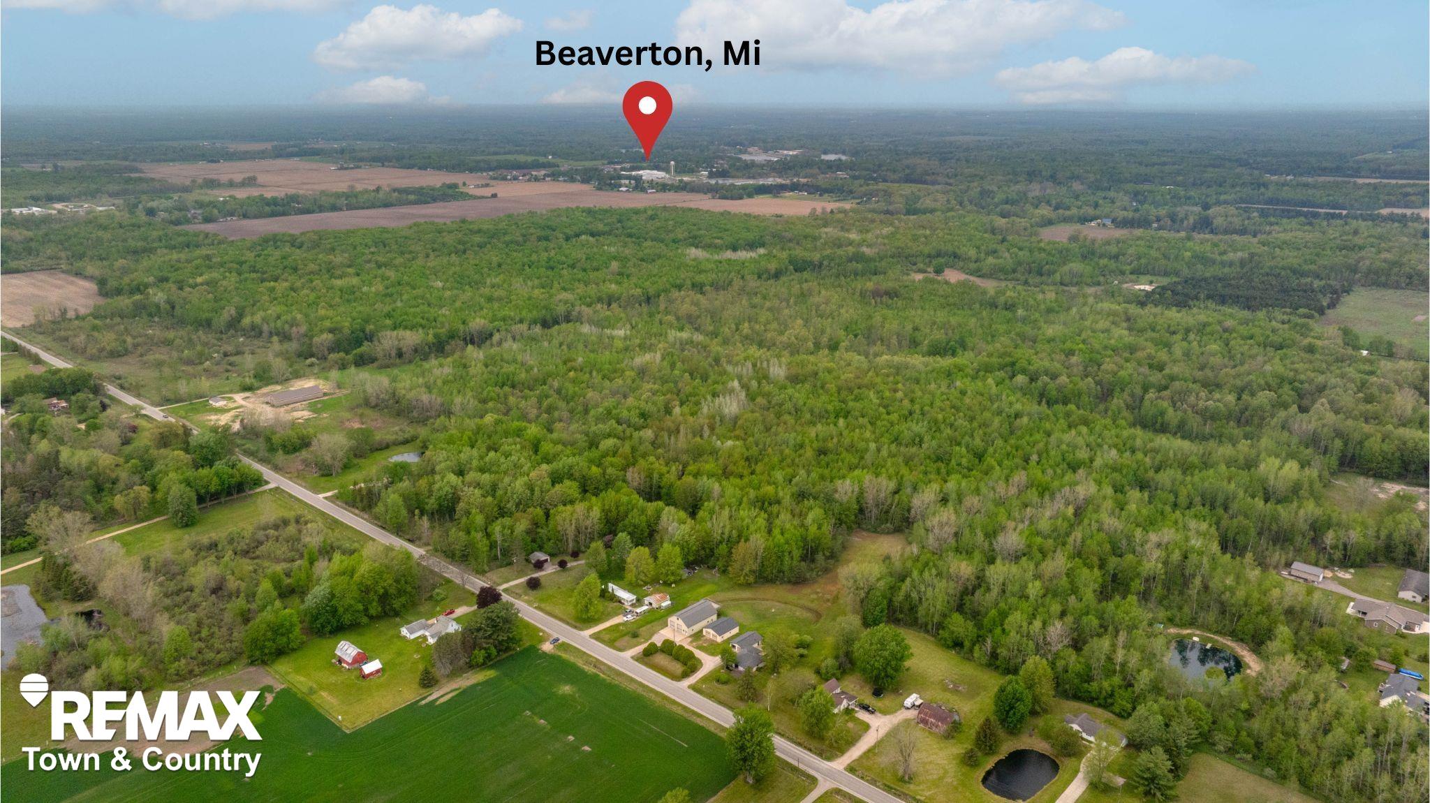 2310 Dale Road Beaverton, MI 48612 - Photo 4 of 71