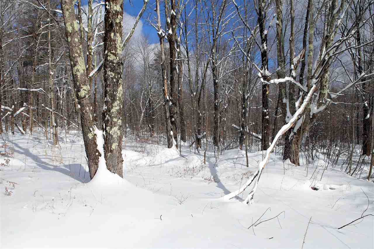 1797 North Branch Road Ripton, VT 05766 - Photo 12 of 28