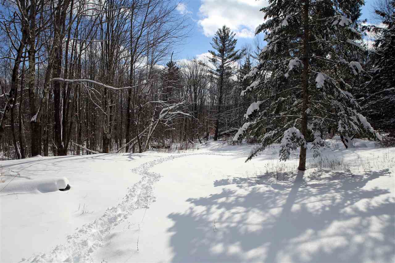 1797 North Branch Road Ripton, VT 05766 - Photo 13 of 28