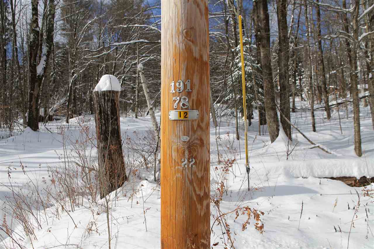 1797 North Branch Road Ripton, VT 05766 - Photo 7 of 28