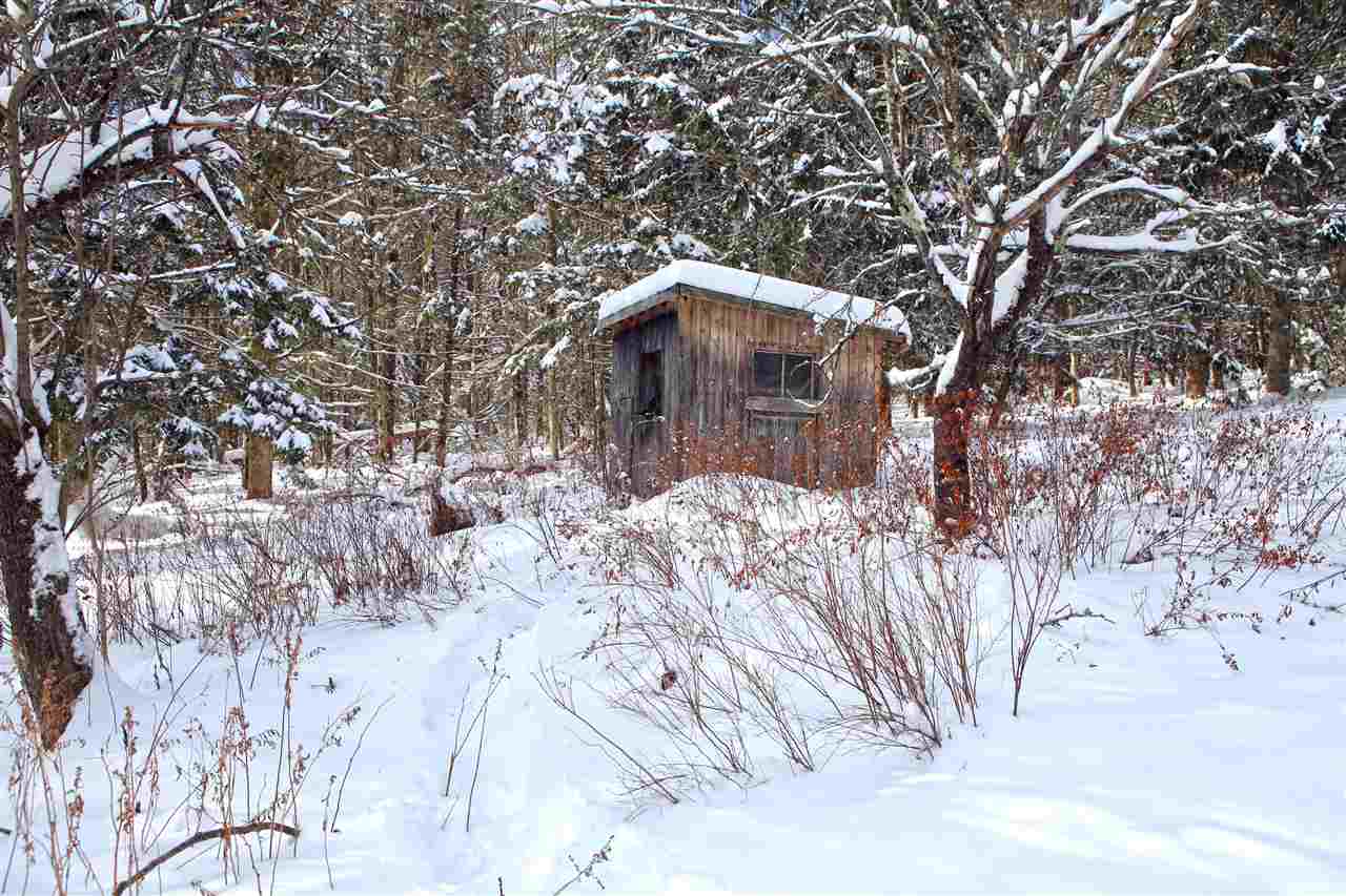 1797 North Branch Road Ripton, VT 05766 - Photo 8 of 28