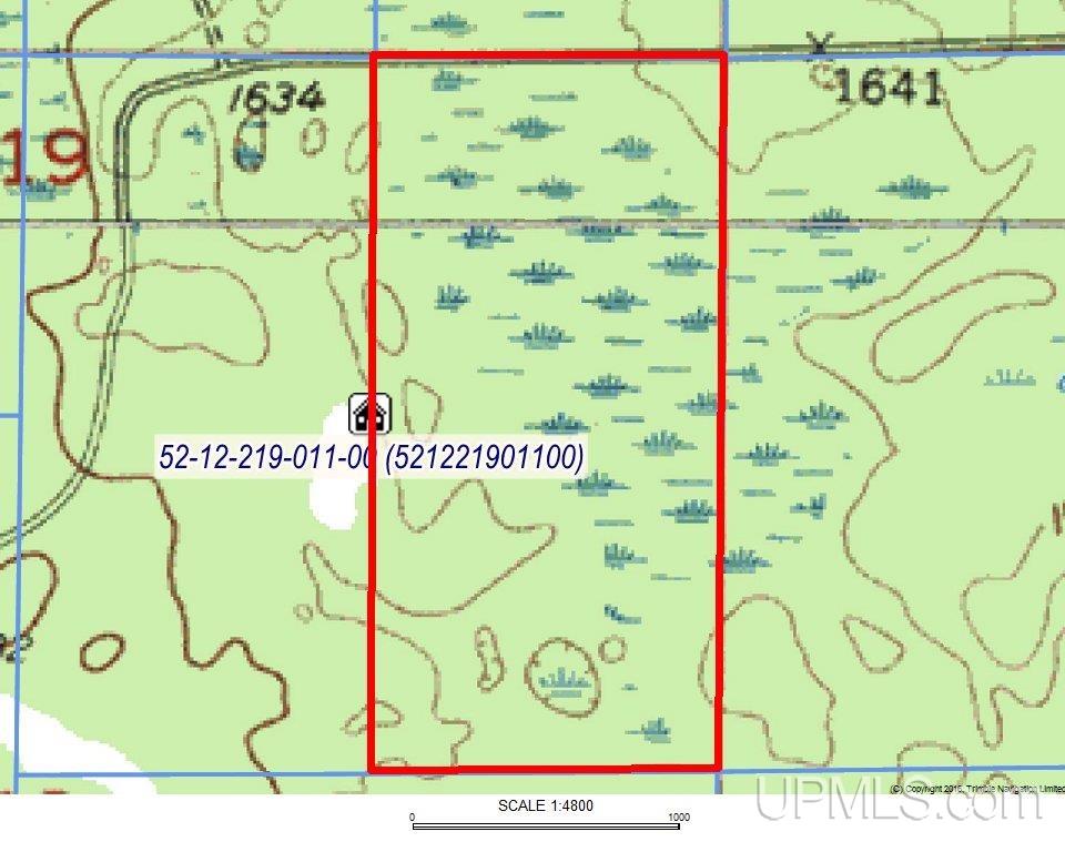 80-acres 80-acres 18th Road Republic, MI 49879 - Photo 25 of 25