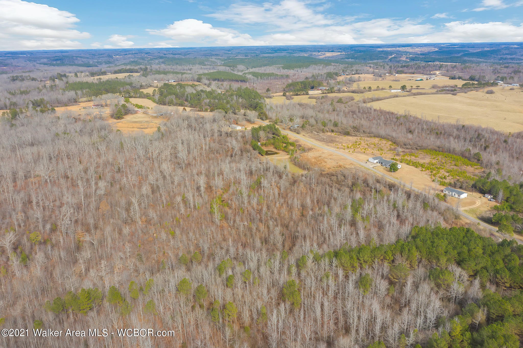 Howell Road Hamilton, AL 35570 - Photo 5 of 10 Gallery Image 5
