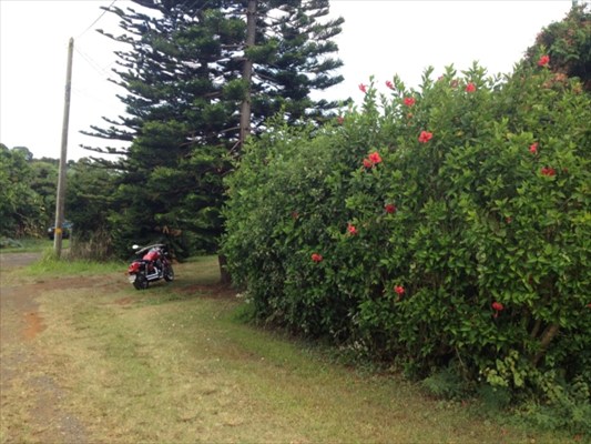 5997 Kapahi Road Kapaa, HI 96746 - Photo 3 of 8