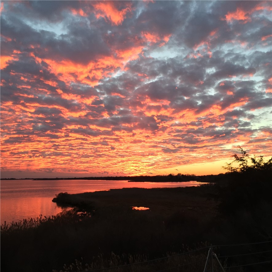 150 Southern Way Charlestown, RI 02813 - Photo 50 of 50