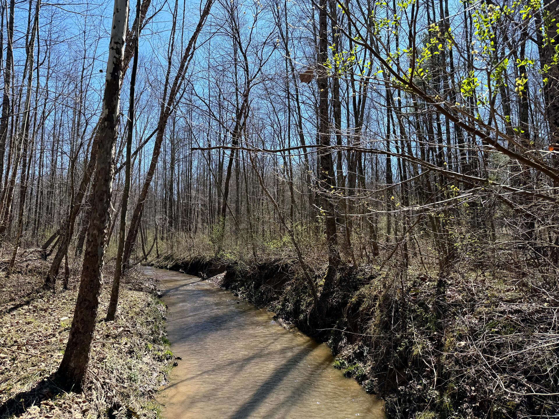0 Dutch Ridge Road Southeast, Unit WOODS TURKEY RUN TRACT 5) New Lexington, OH 43764 - Photo 34 of 58 CT-34
