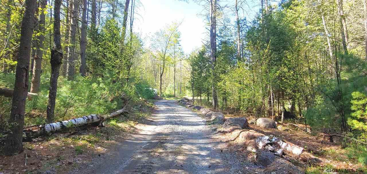 113 Johnson Road Horicon, NY 12808 - Photo 4 of 22 Picturesque driveway