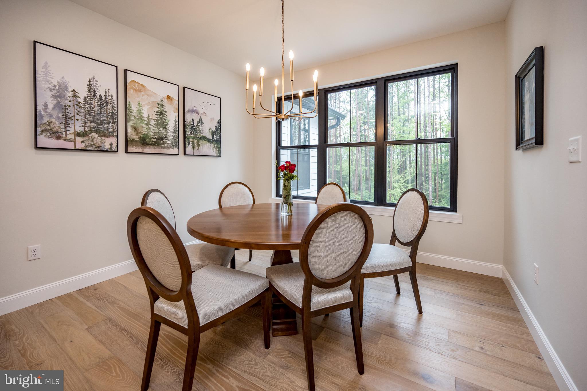 2045 Swallow Falls Road Oakland, MD 21550 - Photo 21 of 79 Gallery Image 21