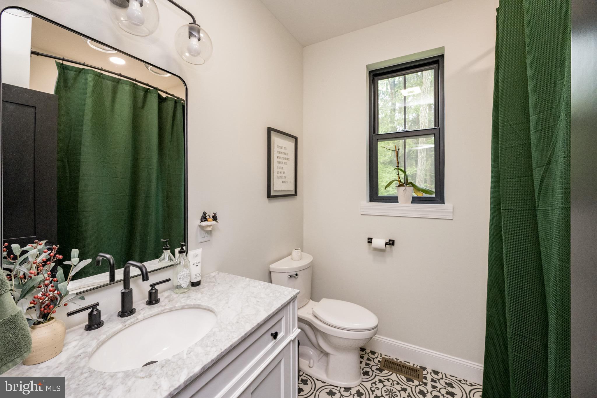 2045 Swallow Falls Road Oakland, MD 21550 - Photo 46 of 79 Main level shared full bath