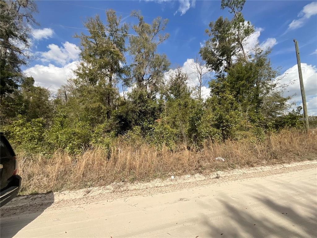 Southwest Old Spanish Road Fort White, FL 32038 - Photo 2 of 6