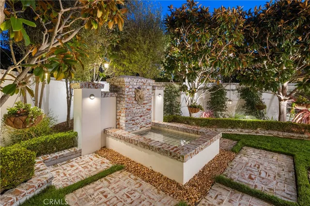 a view of a yard with plants