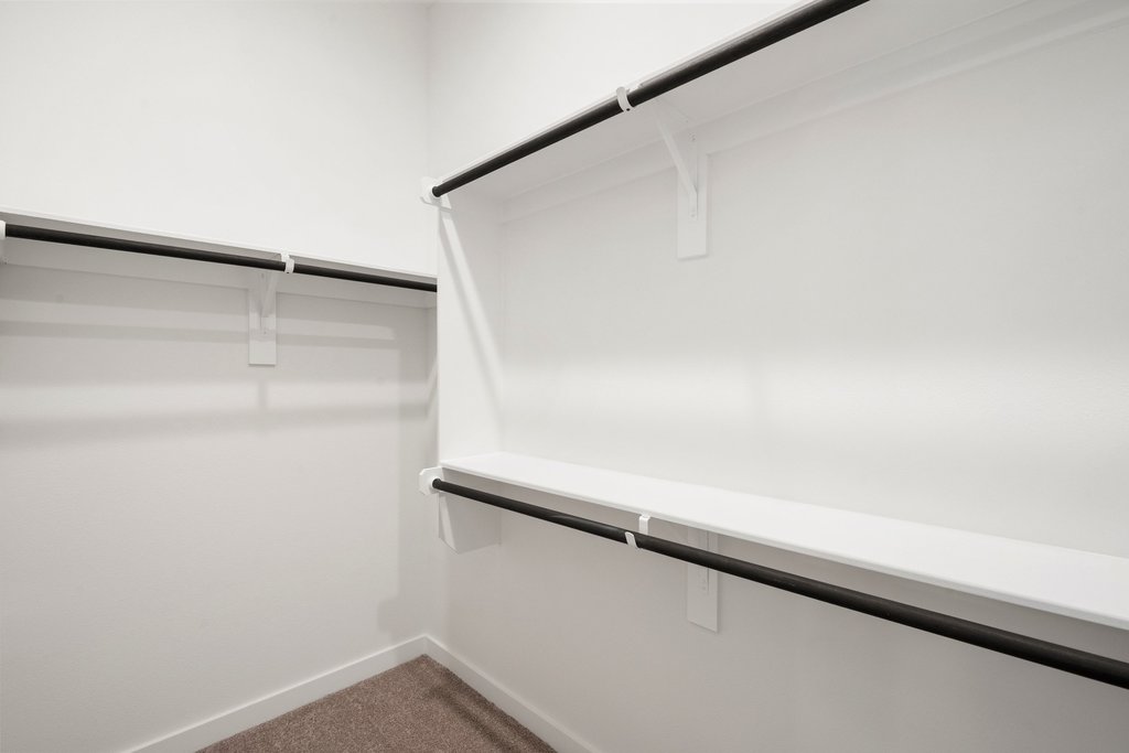 2205 Cento Walk Round Rock, TX 78664 - Photo 14 of 32 Walk in closet featuring dark carpet