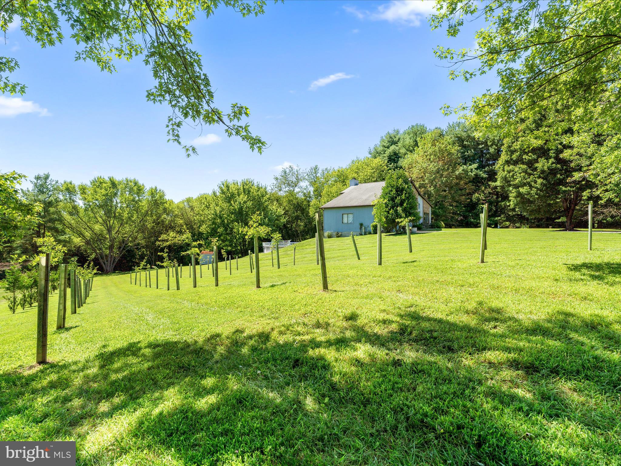 701 Cockeys Mill Road Reisterstown, MD 21136 - Photo 51 of 69 Young trees will provide additional privacy