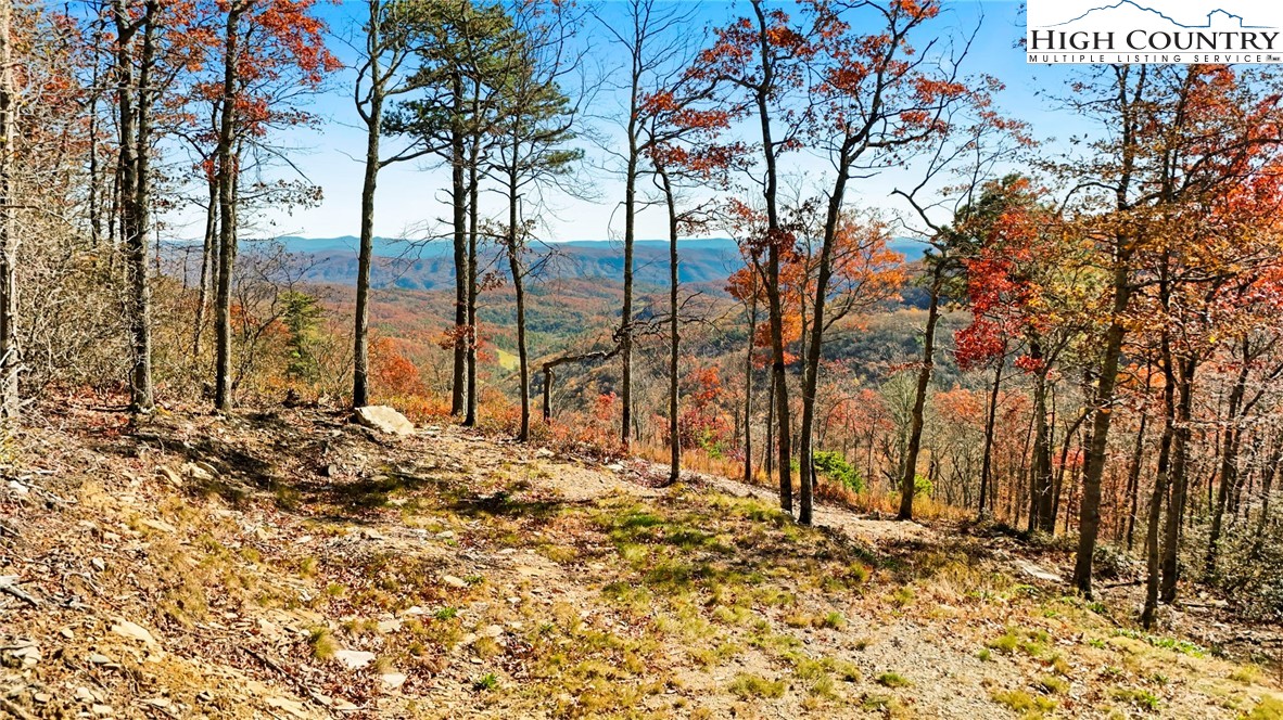 Lot 23 Bluebell Trail Boone, NC 28607 - Photo 1 of 37 a view of a backyard of a house
