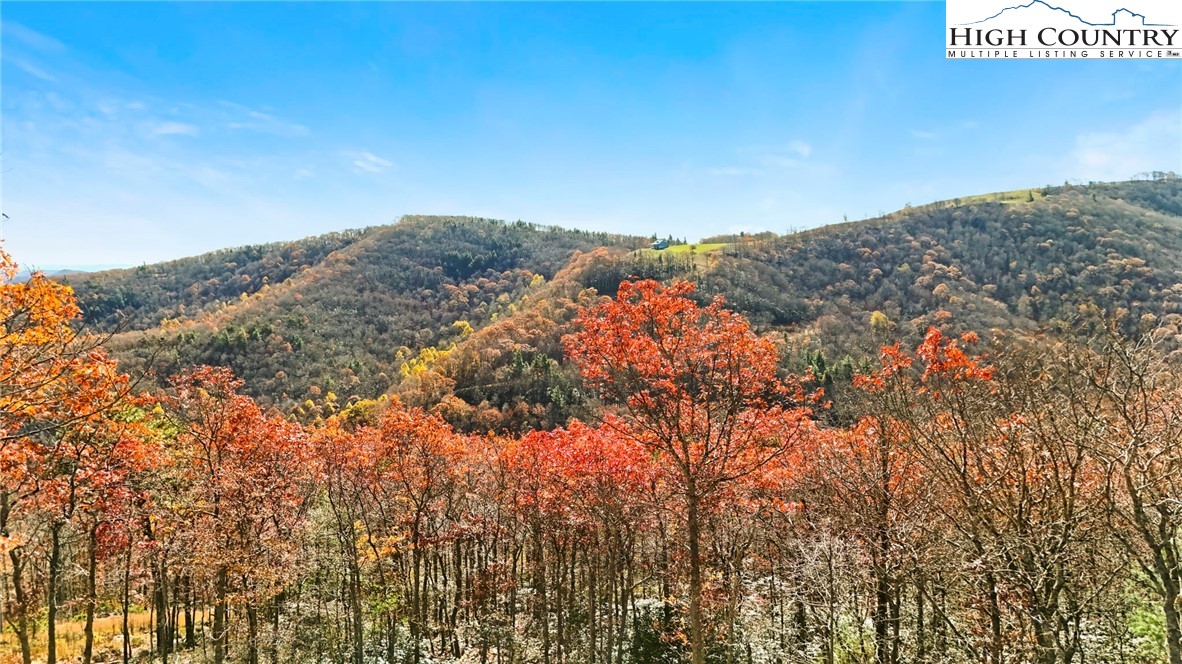 Lot 23 Bluebell Trail Boone, NC 28607 - Photo 19 of 37 a view of mountains