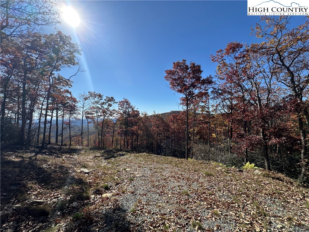 Lot 23 Bluebell Trail Boone, NC 28607 - Photo 20 of 37 a view of a yard