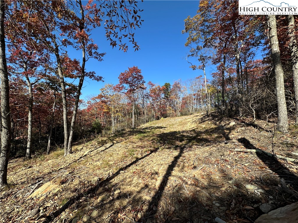 Lot 23 Bluebell Trail Boone, NC 28607 - Photo 21 of 37 a view of outdoor space with trees all around