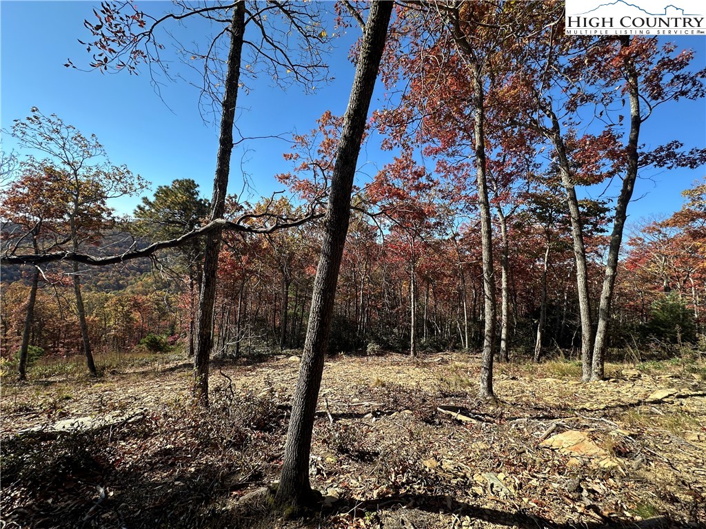 Lot 23 Bluebell Trail Boone, NC 28607 - Photo 22 of 37 a backyard of a house with lots of green space