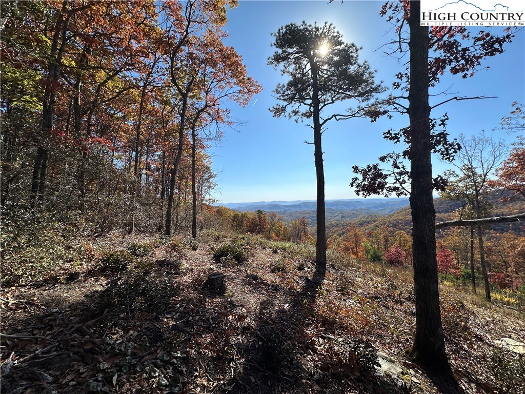 Lot 23 Bluebell Trail Boone, NC 28607 - Photo 23 of 37 a view of a yard with large trees