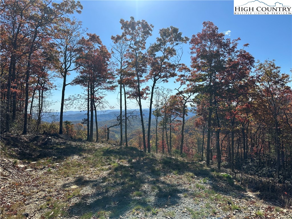 Lot 23 Bluebell Trail Boone, NC 28607 - Photo 24 of 37 a backyard of a house with lots of green space