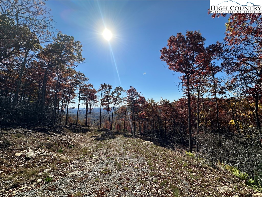 Lot 23 Bluebell Trail Boone, NC 28607 - Photo 25 of 37 a view of a pathway with a tree