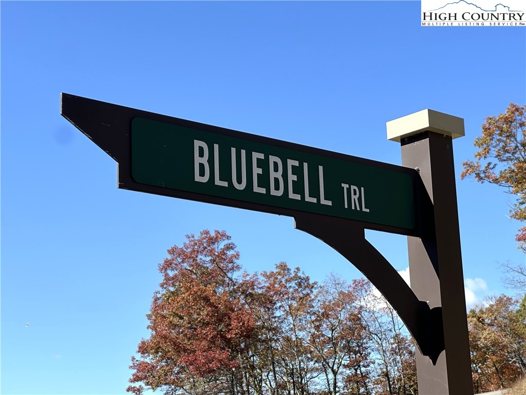 Lot 23 Bluebell Trail Boone, NC 28607 - Photo 26 of 37