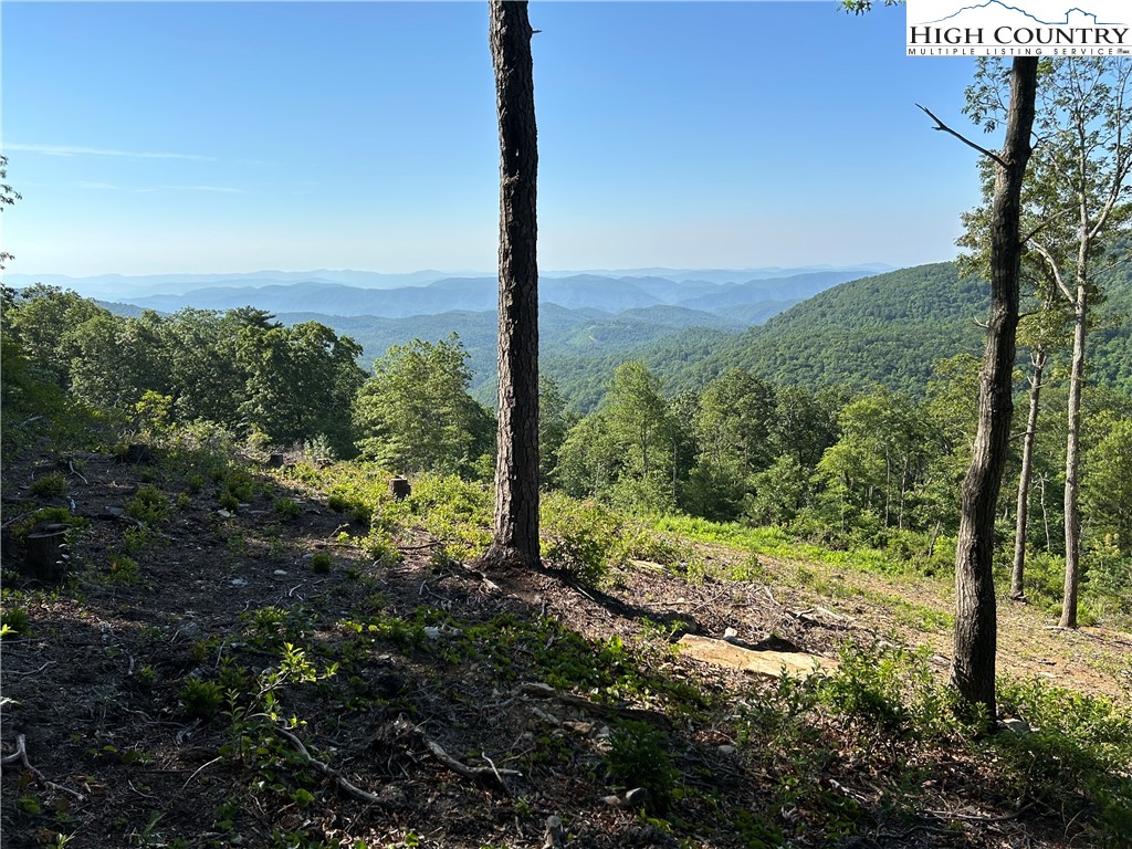 Lot 23 Bluebell Trail Boone, NC 28607 - Photo 4 of 37 a view of a forest with a tree