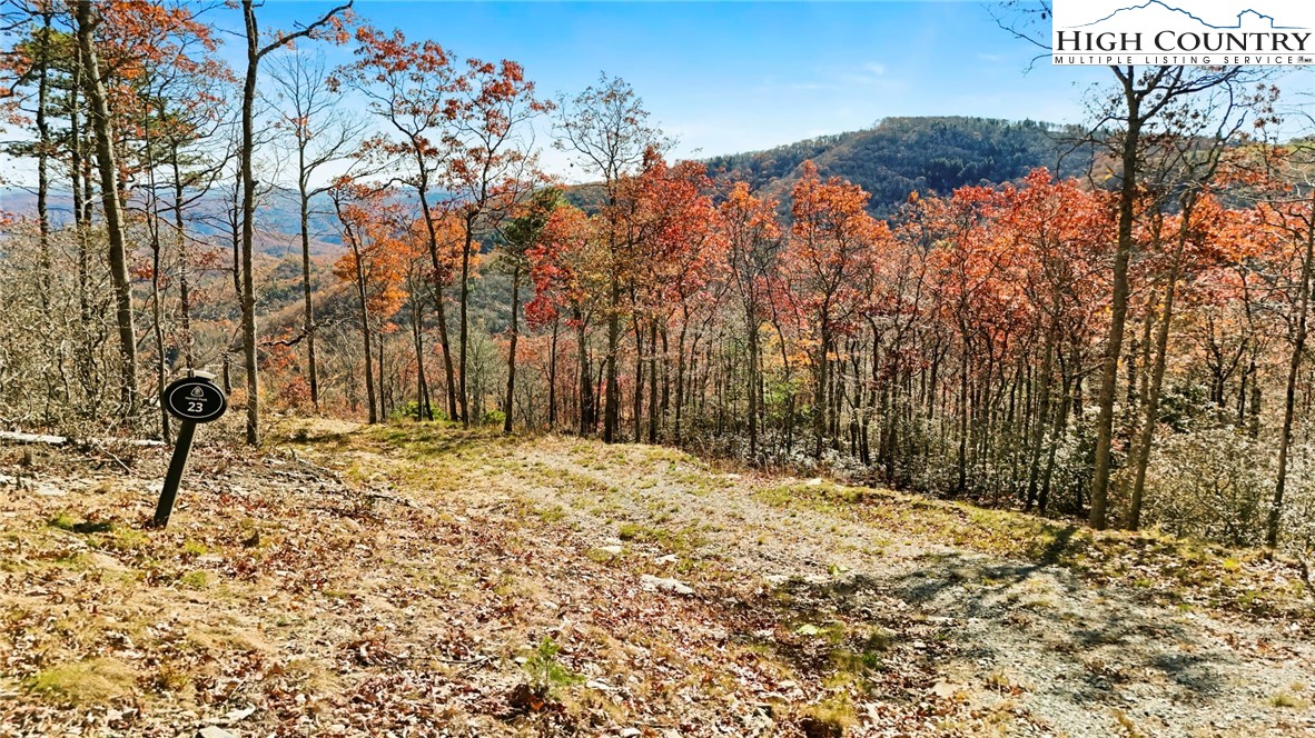 Lot 23 Bluebell Trail Boone, NC 28607 - Photo 5 of 37
