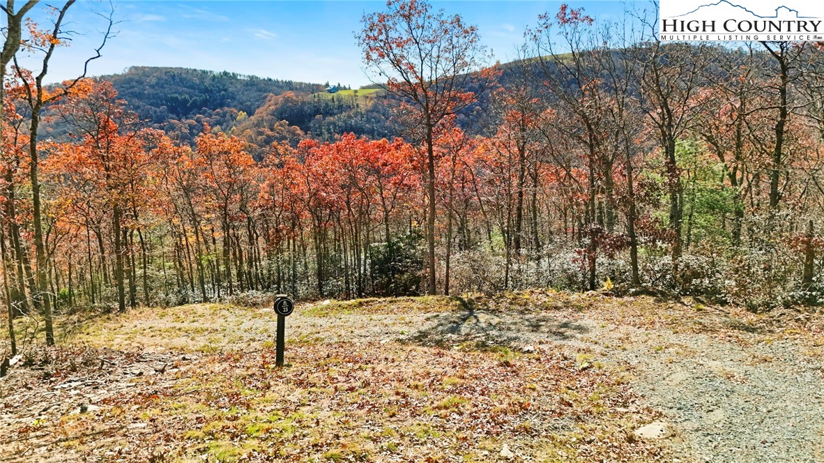 Lot 23 Bluebell Trail Boone, NC 28607 - Photo 6 of 37 a view of a yard covered with snow in front of house