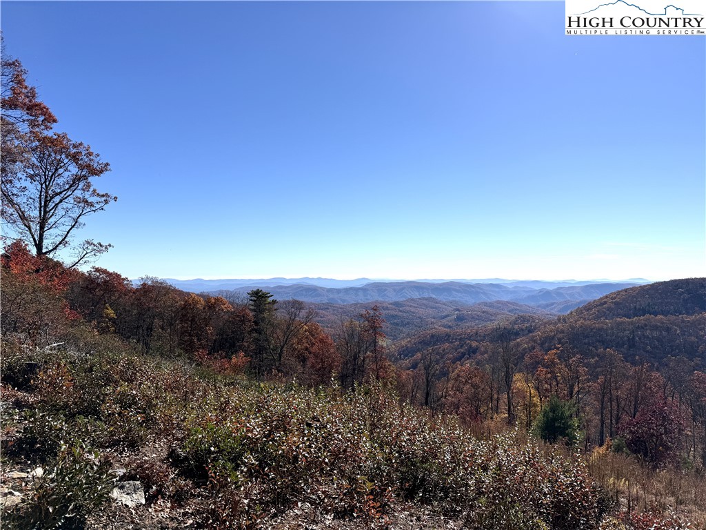 Lot 23 Bluebell Trail Boone, NC 28607 - Photo 7 of 37 a view of a street