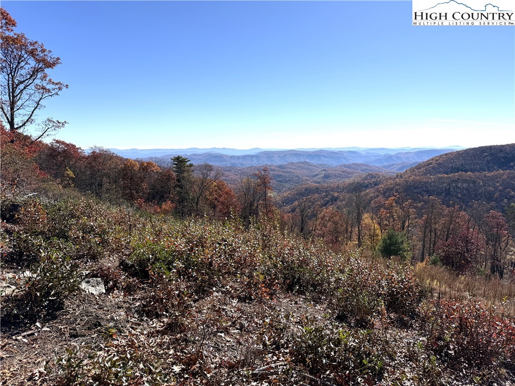 Lot 23 Bluebell Trail Boone, NC 28607 - Photo 8 of 37 a view of a street